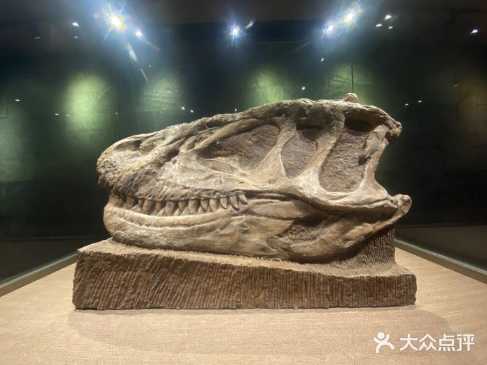 自贡恐龙博物馆图片