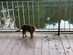 -金桥现代产业园区-停车场