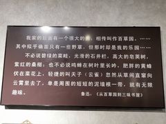 -绍兴鲁迅故里·沈园景区