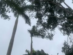 -万绿园