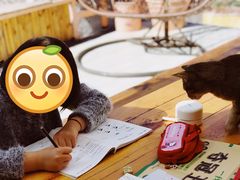 -喵屿·大理花园猫咖