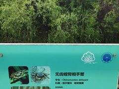 -上海吴淞炮台湾国家湿地公园