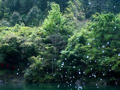 -石台牯牛降景区