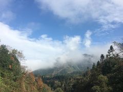 -龙苍沟森林公园