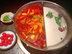 花胶鸡汤锅底-湊湊火锅·茶憩(新中关购物中心店)