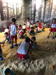 -恐龙探索乐园(磁器口店)