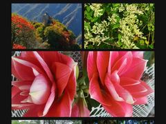 -秦岭终南山世界地质公园翠华山景区