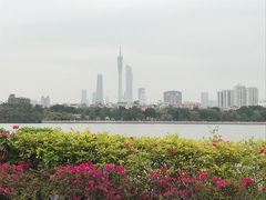 -海珠湖公园