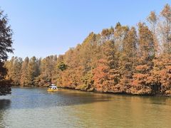 -上海海湾国家森林公园