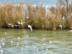 -苏州吴中太湖旅游区