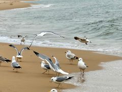 -秦皇岛秦皇国际大酒店