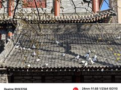 -西安大兴善寺