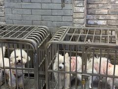 -小街天府(西工小街店)