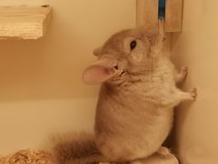 -龙猫仔乐园(惠福东路店)