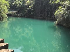 -大奇山国家森林公园
