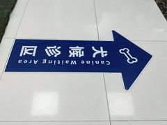 -申普宠物医院·心脏介入·心血管微创(总院)