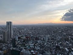 -东京都厅舍