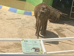 -大连森林动物园