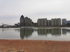 -金沙湖公园
