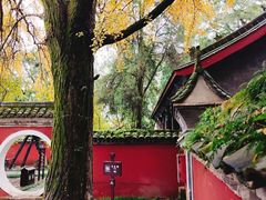 -小玲子(诸葛古镇店)