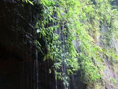 -赤水丹霞旅游区·佛光岩