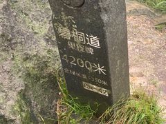 -梧桐山风景名胜区
