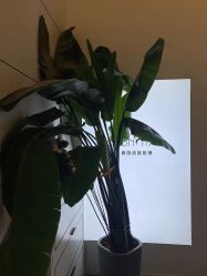 -春田皮肤管理中心品牌旗舰店