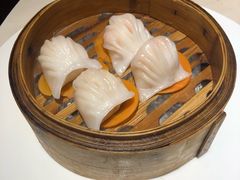 -欣悦府(城建大厦C座店)