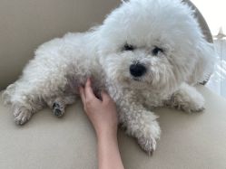 -HEYAN荷妍专业脱毛连锁机构