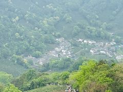 -十里琅珰