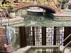 -裕龙汤泉