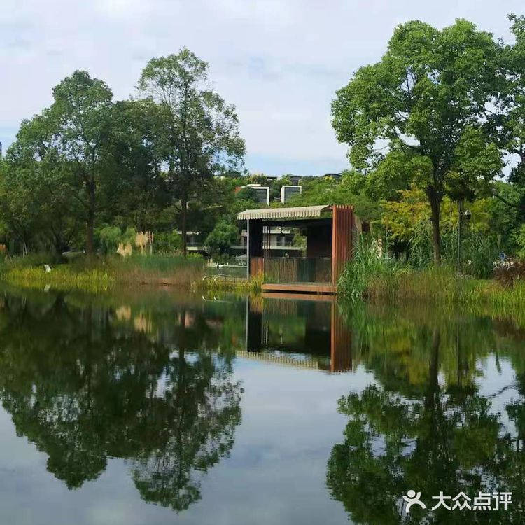 成南绝美湖景私房菜||麓·隐