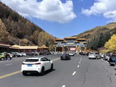 -塞罕坝国家级自然保护区