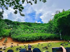 -西双版纳勐泐文化旅游区