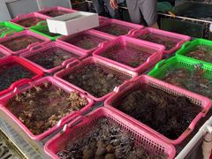 -众味海鲜大排档·活海鲜·潮汕味(南澳店)