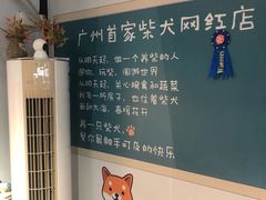 -柴犬高等学院·狗咖·柴犬售卖·宠物训练