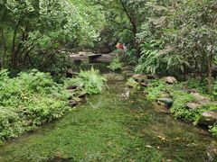 -成都市活水公园