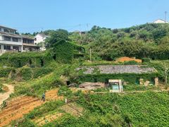 -东极岛景区