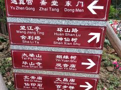 -芦苞胥江祖庙