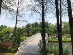 -四海公园(南山区)