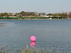 -嘉定凯悦·咖啡厅