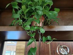 -红菜坊·烤鸭·川鲁宴(石园店)