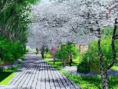 -南京航空航天大学苏州附属中学(唯亭校区)