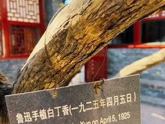-北京鲁迅博物馆(北京新文化运动纪念馆鲁博馆区)