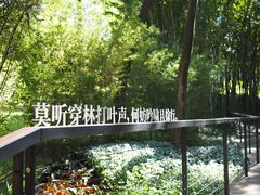 -云溪植物园