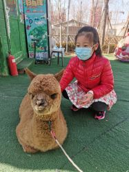 -萌宠亲子动物乐园(槐房万达店)