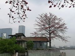 -喜洲吧·江畔老船厂·庭院餐厅(喜临院店)