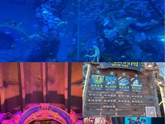 -哈尔滨波塞冬海底世界