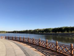 -五角枫生态旅游景区