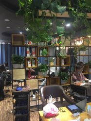 点击看大图 -藤野造型
